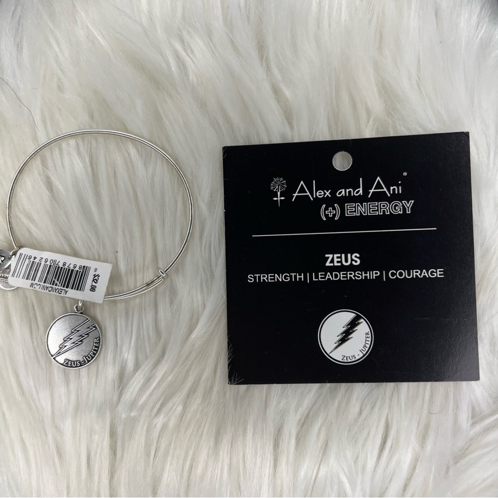 Alex and Ani Rafaelian Silver Zeus Jupiter Greek God Charm Bangle Bracelet